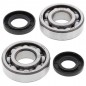 Crankshaft bearing ALL BALLS for KAWASAKI KX, KDX 250 from 1987 to 2001