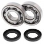 Crankshaft bearing ALL BALLS for KAWASAKI KX 500 from 1983 to 2003