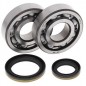 Crankshaft bearing ALL BALLS for SUZUKI RM 250 from 1996 to 2001