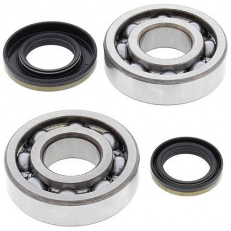 Crankshaft bearing ALL BALLS for SUZUKI RM 250 from 2003 to 2004