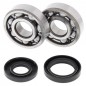 Crankshaft bearing ALL BALLS for YAMAHA YZ 125 from 2001 to 2004