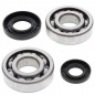 Crankshaft bearing ALL BALLS for YAMAHA YZ 250 from 2001 to 2021