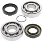 Roulement de vilebrequin ALL BALLS pour YAMAHA YZ, DT, WR, IT, 400, 490, 465, 500