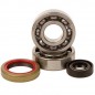 Crankshaft bearing HOT RODS for KTM SX 50 from 2009 to 2012