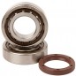 Crankshaft bearing HOT RODS for KTM SXF 250 from 2012