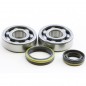 Crankshaft bearing HOT RODS for SUZUKI RM 80, 85 from 1989 to 2021