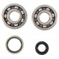 Crankshaft bearing HOT RODS for SUZUKI RM 125 from 1989 to 2000