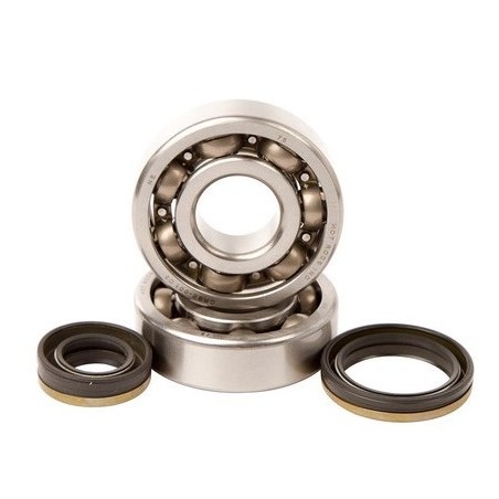 Crankshaft bearing HOT RODS for SUZUKI RM 125 from 2001, 2002, 2003, 2004, 2005, 2006, 2007 and 2008