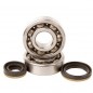 Crankshaft bearing HOT RODS for SUZUKI RM 125 from 2001 to 2008