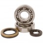 Crankshaft bearing HOT RODS for SUZUKI RM 250 from 1989 to 1993