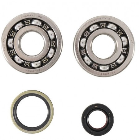 Crankshaft bearing HOT RODS for SUZUKI RM 250 from 1994, 1995, 1996, 1997, 1998, 1999, 2000, 2001, 2002