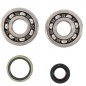 Crankshaft bearing HOT RODS for SUZUKI RM 250 from 1994 to 2002