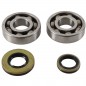 Crankshaft bearing HOT RODS for SUZUKI RM 250 from 2003 to 2004