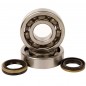 Crankshaft bearing HOT RODS for SUZUKI RM 250 from 2005 to 2008