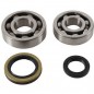 Crankshaft bearing HOT RODS for SUZUKI RMX 250 from 1989 to 1994