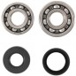 Crankshaft bearing HOT RODS for YAMAHA YZ 85 from 2002 to 2018