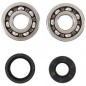 Crankshaft bearing HOT RODS for YAMAHA WR, YZ 125 from 2001 to 2004