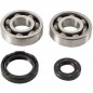 Crankshaft bearing HOT RODS for YAMAHA WR, YZ 250 from 1990 to 1998