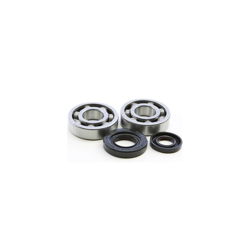 Crankshaft bearing HOT RODS for YAMAHA YZ 250 from 2001 to 2021