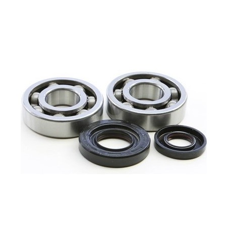 Crankshaft bearing HOT RODS for YAMAHA YZ 250 from 2001, 2002, 2003, 2004, 2005, 2006, 2007, 2021