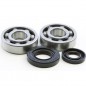 Crankshaft bearing HOT RODS for YAMAHA YZ 250 from 2001 to 2021