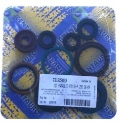 Dichtungssatz für den unteren Motorbereich (CENTAURO) für HUSABERG FE, KTM EXCF, SXF, EXC250F, SX250F, 250 ccm