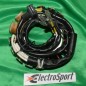 Stator + eclairage ELECTROSPORT pour HONDA XL600R, XL500R, XL350R