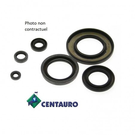 Kit de juntas CENTAURO bajo espía del motor / spi para HUSQVARNA TC, TE, 250 y 310