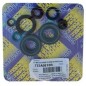 CENTAURO low engine spy / spi gasket kit for KAWASAKI KX, KE 80cc, 85cc, 100cc