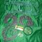 CENTAURO engine gasket pack for KTM EXC 200 from 1998 to 2001