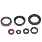 CENTAURO low engine spy / spi gasket kit for SUZUKI RMZ 450 from 2008 to 2020 CENTAURO low engine spy / spi gasket kit for SUZUKI RMZ 450 from 2008 to 2020