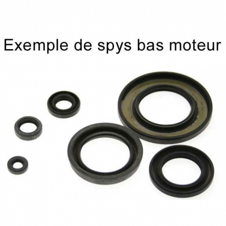 CENTAURO low engine spy / spi gasket kit for YAMAHA YZF, WRF 450 from