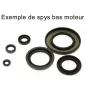 CENTAURO bajo motor espía / spi kit de juntas para YAMAHA YZF, WRF 450 de 2014 a 2021 CENTAURO bajo motor espía / spi kit de juntas para YAMAHA YZF, WRF 450 de 2014 a 2021