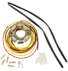 RICKS-Stator für KTM EXC, SX, MXC, XC 125, 144, 150, 200, 250, 300 und 380