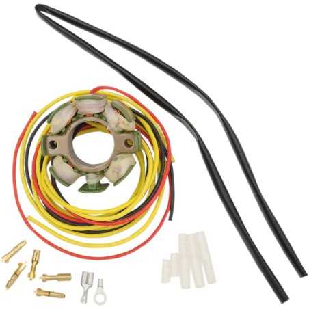 RICKS-Stator für KTM EXC, SX, MXC, XC 125, 144, 150, 200, 250, 300 und 380