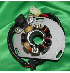 Stator + Beleuchtung von ELECTROSPORT für KTM SX 250, 150, 144, 125