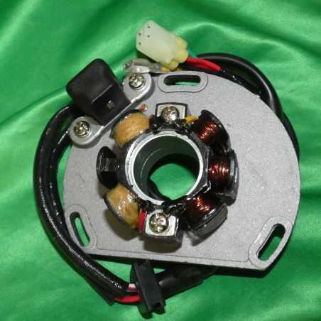 Stator + Beleuchtung von ELECTROSPORT für KTM SX 250, 150, 144, 125
