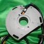 Stator + eclairage ELECTROSPORT pour KTM SX 250, 150, 144, 125