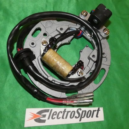 Stator ELECTROSPORT for KAWASAKI KX 80, 100 from 1992, 1993, 1994, 1995, 1996, 1997, 1998, 1999, 2000