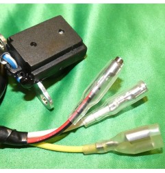 Stator ELECTROSPORT for HONDA CRF, XR 100 from 1993 to 2009