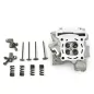 Culata NARAKU 66mm para YAMAHA XMAX, YZF, WRF, WRX, MT, BETA RR, RIEJU MARATHON, RS3,... Culata NARAKU 66mm para YAMAHA XMAX, YZF, WRF, WRX, MT, BETA RR, RIEJU MARATHON, RS3,...