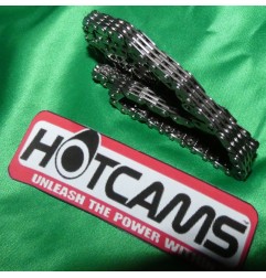HOT CAMS -Antriebskette für YAMAHA YFM, SUZUKI LTR, KAWASAKI KFX, ...