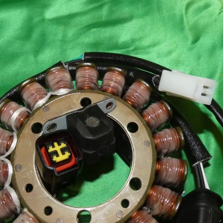 Stator MOOSE pour SUZUKI DR 650 SE de 1996 à 2011