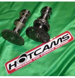 HOT CAMS -Nockenwelle, Stufe 1, für KAWASAKI KLX, KFX, SUZUKI LTZ, DVX, ...