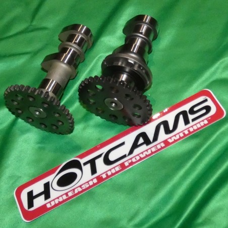 Arbre a cam HOT CAMS stage 1 pour KAWASAKI KLX, KFX, SUZUKI LTZ, DVX,...