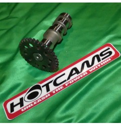 HOT CAMS Árbol de levas etapa 1 para KAWASAKI KLX, KFX, SUZUKI LTZ, DVX,...