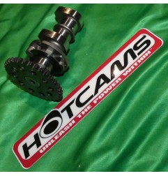 Árbol de levas de escape « HOT CAMS » etapa 1 para KAWASAKI KLX, KFX, SUZUKI LTZ, DVX... - Ref. 2250-1E