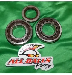ALL BALLS -Kurbelwellenlager für KTM EXC, SX, XC 400, 450, 500, 520, 525, ...