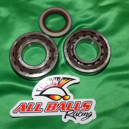 Cojinete del cigüeñal ALL BALLS para KTM EXC, SX, XC 400, 450, 500, 520, 525,...