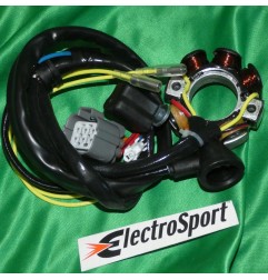 Stator + lighting ELECTROSPORT for KAWASAKI KXF, SUZUKI RMZ 250 from 2004